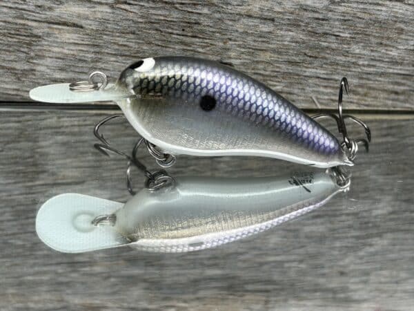 Black Label Balsa - Little Cliffie Signature Series