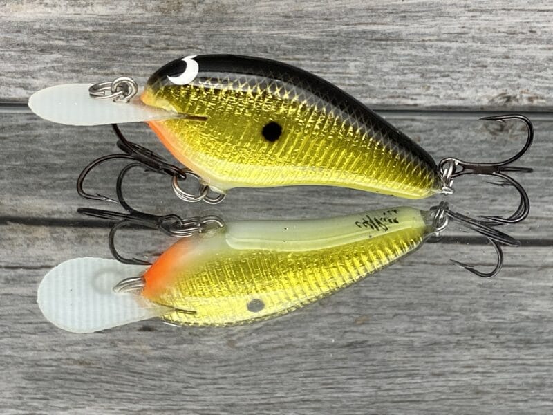 Black Label Balsa - Little Cliffie Signature Series