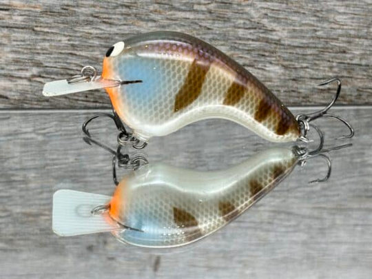 Black Label Balsa - Potbelly Hybrid Squarebill