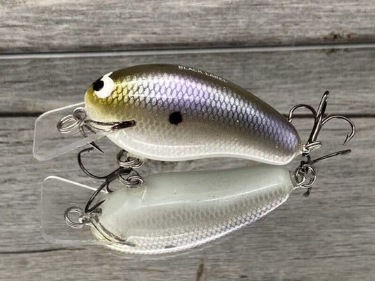 Black Label Balsa - Prowler Squarebill
