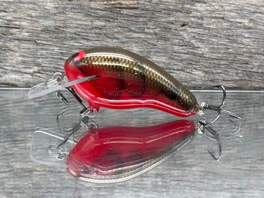 Black Label Balsa - Prowler Squarebill