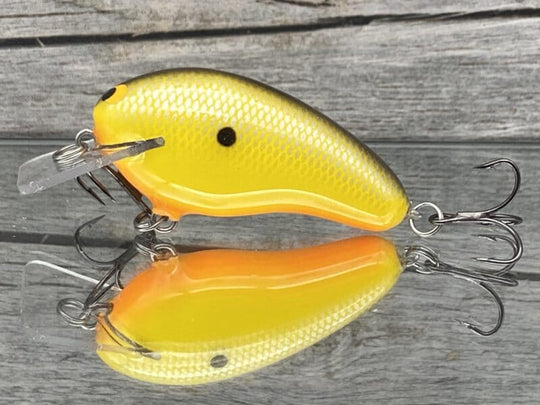 Black Label Balsa - Prowler Squarebill