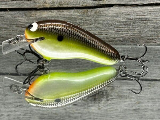 Black Label Balsa - Prowler Flat Squarebill