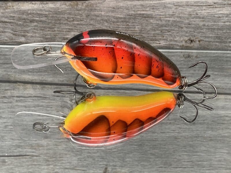 Black Label Balsa - Prowler MR