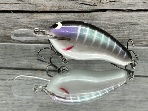 Black Label Balsa - Prowler MR