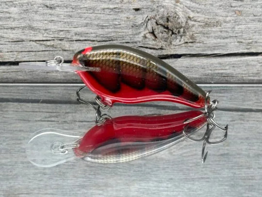 Black Label Balsa - Shiver 7