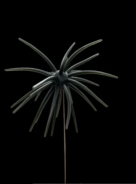 Black Label Soft Plastics - OFO 20mm