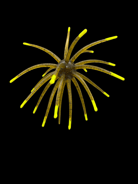 Black Label Soft Plastics - OFO 20mm