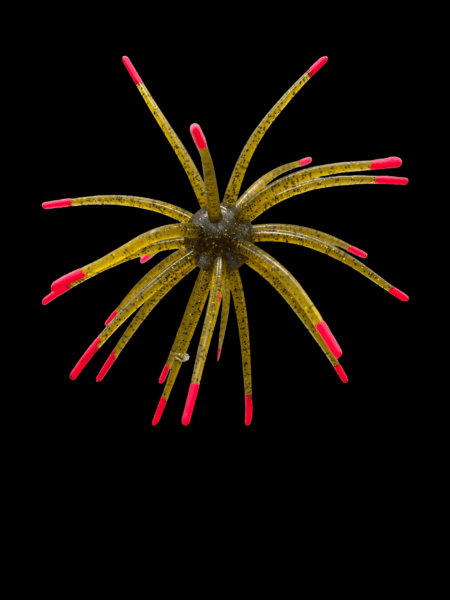 Black Label Soft Plastics - OFO 20mm