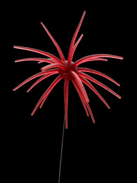 Black Label Soft Plastics - OFO 20mm