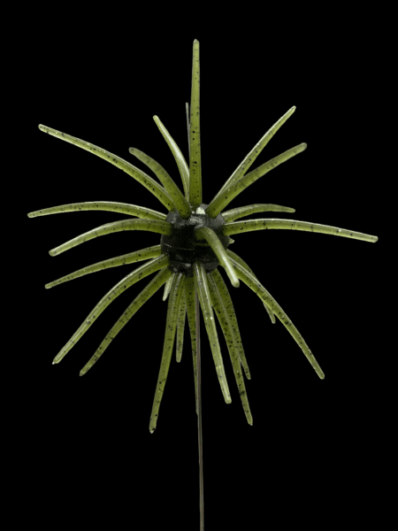 Black Label Soft Plastics - OFO 20mm