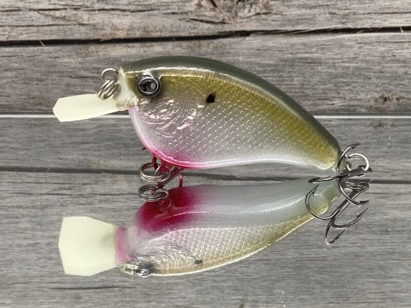 The Lure Forge - 2.5 Flatside - Balsa Crankbait - Bleeding Gizzard Shad Color image 0