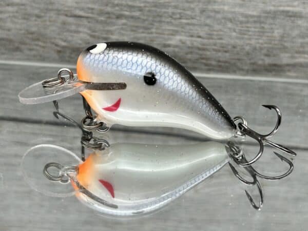 Black Label Balsa - Rumble - Custom Balsa Crankbait - Electric Shad Color image 0