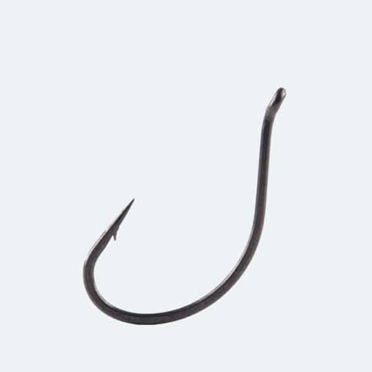 BKK DSS WORM image 0