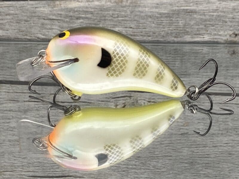 Black Label Balsa - Ricochet - Custom Balsa Crankbait - Bluegill Color image 0