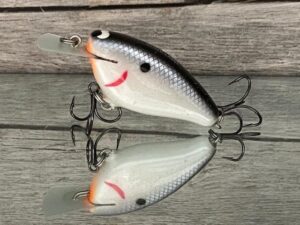 Black Label Balsa - Bacon - Balsa Crankbait - Electric Shad Color