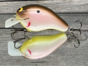 Black Label Balsa - CBS 2 - Custom Balsa Squarebill Crankbait - Tomato Shad Color- Bagley B2