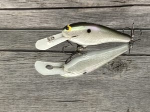 Black Label Balsa - SS Shad - Custom Balsa Crankbait - Gizzard Shad Foil Color