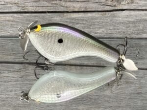 Black Label Balsa - Tease - Custom Balsa Topwater Prop Bait - Gizzard Shad Foil