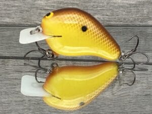 Black Label Balsa - CBS 1 - Balsa Squarebill Crankbait - Hot Mustard Color - Bagley B1