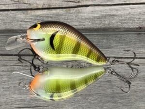 Black Label Balsa - Head Hunter - Custom Balsa Squarebill Crankbait - Bold Bluegill Color - Zoom WEC E-2