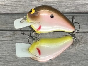 Black Label Balsa - CBS 1 - Balsa Squarebill Crankbait - Tomato Shad Color - Bagley B1