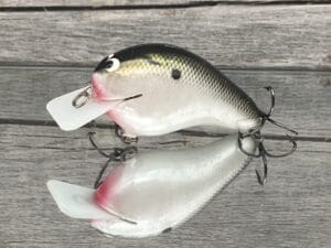 Black Label Balsa - CBS 2 - Custom Balsa Squarebill Crankbait - Tennessee Shad Color- Bagley B2