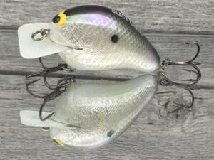 Black Label Balsa - CBS 1 - Balsa Squarebill Crankbait - Gizzard Shad Foil Color - Bagley B1