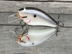 Black Label Balsa - BL 1.5 - Balsa Squarebill - Electric Shad Color