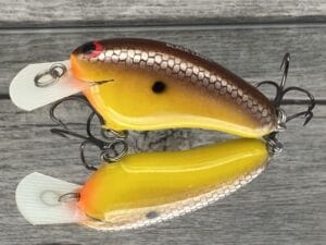 Black Label Balsa - Hickster - Balsa Crankbait - Spicy Mustard- Zoom WEC Hicky