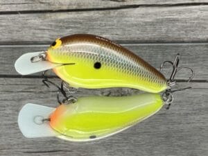 Black Label Balsa - Wobbler - Custom Balsa Crankbait - River Bream Color