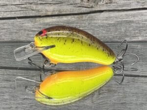 Black Label Balsa - Prowler - Custom Balsa Squarebill Crankbait - Chartreuse Root Beer Color