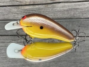 Black Label Balsa - Wobbler - Custom Balsa Crankbait - Spicy Mustard Color