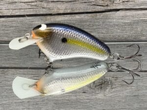 Black Label Balsa - Hickster - Signature Series Crankbait - Foiled Threadfin Shad Color