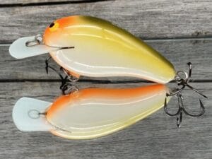 Black Label Balsa - Wobbler - Custom Balsa Crankbait - Parrot Color