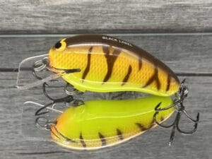 Black Label Balsa - Prowler - Custom Balsa Squarebill Crankbait - Spring Tiger Color