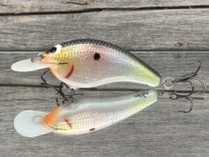 Black Label Balsa - Slim Signature Series Balsa Crankbait - Foiled SH4 Fade Color