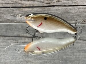 Black Label Balsa - Tapout - Custom Balsa Crankbait - Tennessee Flash Color