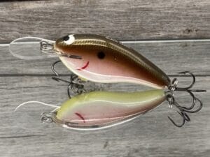 Black Label Balsa - Shiver 7 - Custom Balsa Crankbait - Tomato Shad Color