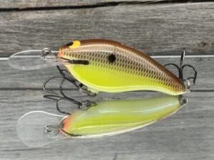 Black Label Balsa - Shiver 7 - Custom Balsa Crankbait - River Bream Color