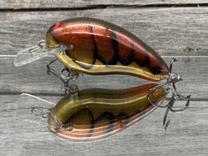 Black Label Balsa - Prowler - Custom Balsa Squarebill Crankbait - Road Kill Craw Color