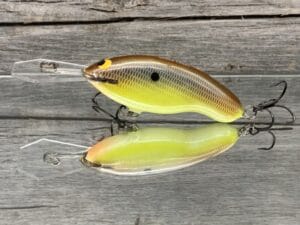 Black Label Balsa - Tapout Jr - Custom Balsa Crankbait - River Bream Color