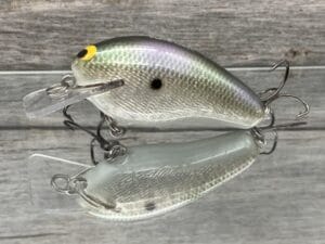 Black Label Balsa - Prowler - Custom Balsa Squarebill Crankbait - Foiled Gizzard Shad Color