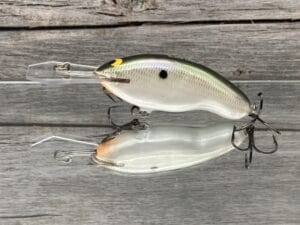 Black Label Balsa - Tapout Jr - Custom Balsa Crankbait - Gizzard Shad Pearl Color