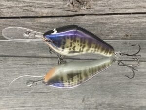 Black Label Balsa - 300 Proof - Custom Balsa Crankbait - Money Gill Color