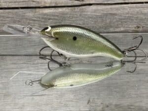 Black Label Balsa - Tapout - Signature Series Custom Balsa Crankbait - Foiled Money Shad Color