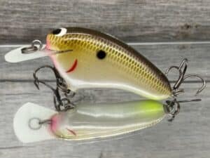 Black Label Balsa - Hickster - Balsa Crankbait - Cliff's Secret Color - Zoom WEC Hicky