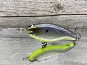 Black Label Balsa - Tapout - Signature Series Custom Balsa Crankbait - Foiled American Shad Chartreuse Belly Color