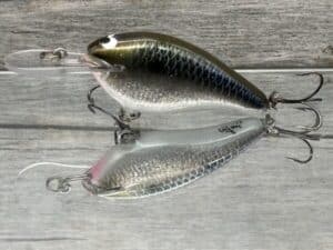 Black Label Balsa - Shiver 7 Signature Series - Custom Balsa Crankbait - Foiled Bad Shad Color