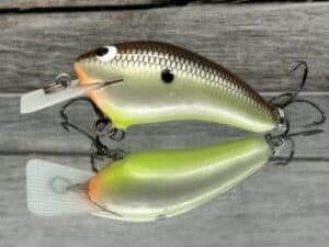 Black Label Balsa - Speedy - Hybrid Squarebill Crankbait - Slick Color